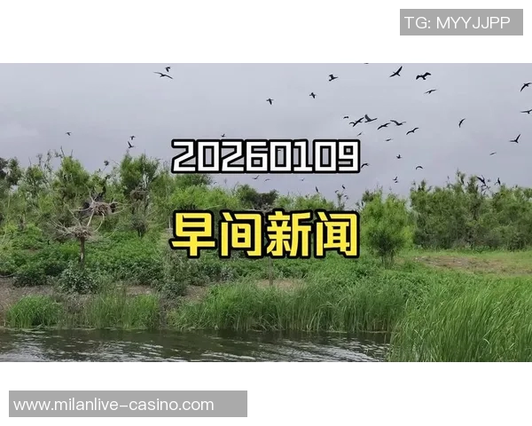 2026年3月份新闻从零起步掌握飞盘技巧与团队协作的全面指南 2026年3月份新闻从零起步掌握飞盘技巧与团队协作的全面指南